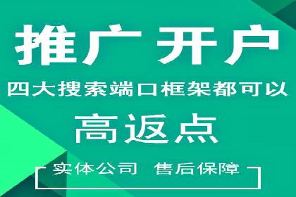 推广竞价实战经验：成功案例分享与启示